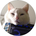 Rodolfo Costa profile picture