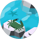 Roscoe Rish profile picture