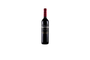     Vinho Tinto Dona Ermelinda     